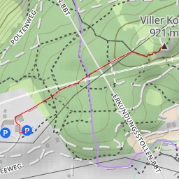 thumbnail for Viller Kopf