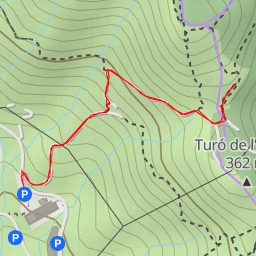 thumbnail for Camí del Bosc
