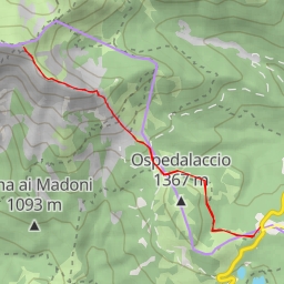 thumbnail for Monte Alto