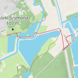 thumbnail for Dzikich Gęsi - Dzikich Gęsi