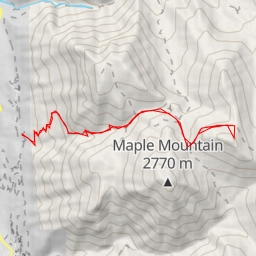 thumbnail for Lion Head