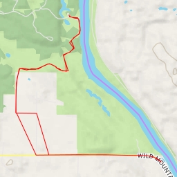 thumbnail for Wild Mountain Road - Wild Mountain Road