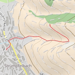 thumbnail for Rebflurbereinigung Strümpfelbach