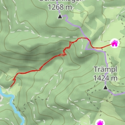 thumbnail for Ebenforstalm