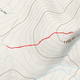 thumbnail for Caps Ridge Trail