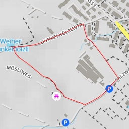 thumbnail for Weiher Dunkelhölzli