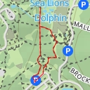 thumbnail for Penguins