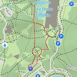 thumbnail for Penguins