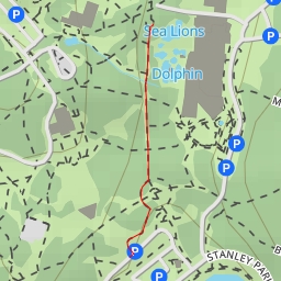 thumbnail for Sea Lions