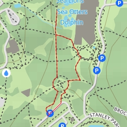 thumbnail for Sea Otters