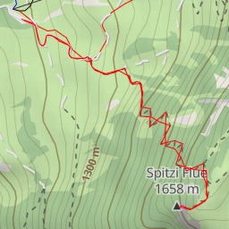 thumbnail for Spitzi Flue