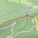 thumbnail for 6. zub