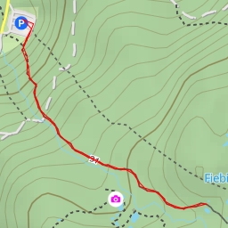 thumbnail for Rauriser Urwald - Rauriser Urwald - Rauris