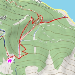 thumbnail for Alpentiere Rundwanderweg (Winter) - Alpentiere Rundwanderweg (Winter) - Eben am Achensee