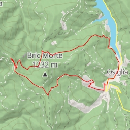 thumbnail for Bric Pennacchio