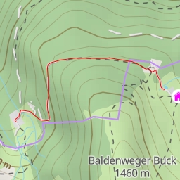 thumbnail for Baldenwegerbuck
