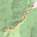 thumbnail for Whangamata Track