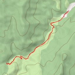 thumbnail for Whangamata Track