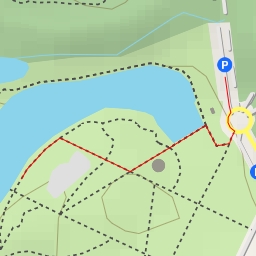 thumbnail for Single de la Princesse