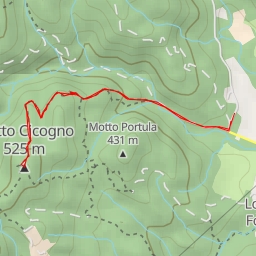 thumbnail for Motto Cicogno