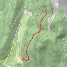 thumbnail for Route forestière de Casalibus