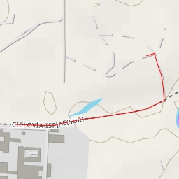 thumbnail for Pico cochino