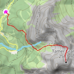 thumbnail for Tamer Grande