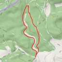 thumbnail for Waldhaus