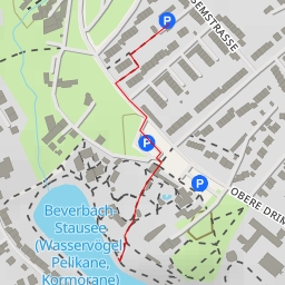 thumbnail for Beverbach-Stausee (Wasservögel, Pelikane, Kormorane)