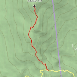 thumbnail for Mount Abraham