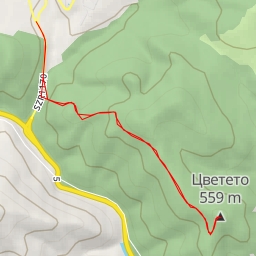 thumbnail for Цветето