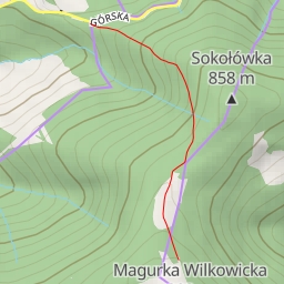 thumbnail for Wiraż - Magurka Straceńska