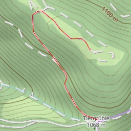 thumbnail for Tunauer Schweine