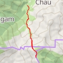 thumbnail for 城門林道－草山段 Shing Mun Forest Track – Grass Hill Section - 城門林道－草山段 Shing Mun Forest Track – Grass Hill Section - 荃灣區 Tsuen Wan District