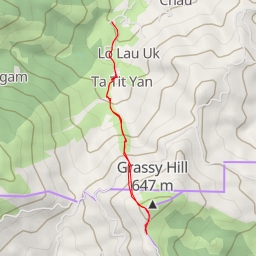 thumbnail for 城門林道－草山段 Shing Mun Forest Track – Grass Hill Section - 城門林道－草山段 Shing Mun Forest Track – Grass Hill Section - 荃灣區 Tsuen Wan District