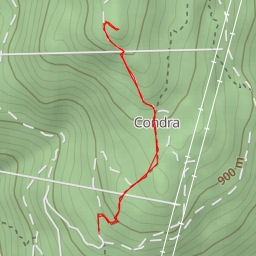 thumbnail for Moschera