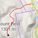 thumbnail for Mount Field