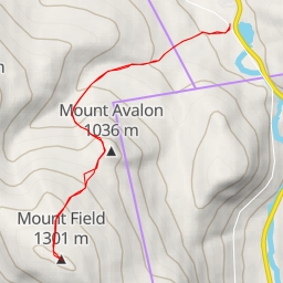 thumbnail for Mount Field