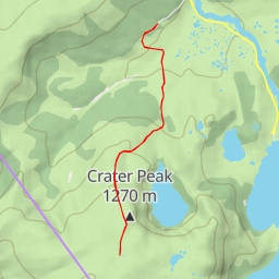 thumbnail for Horse Track - Horse Track