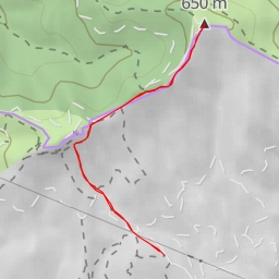 thumbnail for L'Étoile