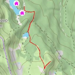 thumbnail for Rondinaio Lombardo