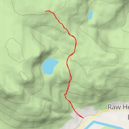 thumbnail for Sergeant Man