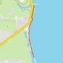 thumbnail for Swan Lake