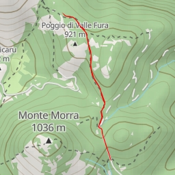 thumbnail for Sp Marcellina-M. Morra