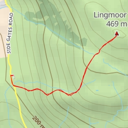 thumbnail for Lingmoor Fell