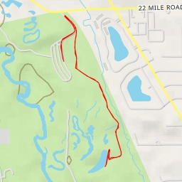 thumbnail for Yellow (Main Trail) - Yellow (Main Trail)