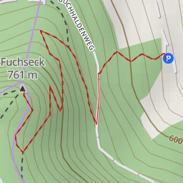 thumbnail for Fuchseck