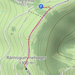 thumbnail for Rämisgummehoger