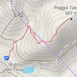 thumbnail for Poggio Tassinara