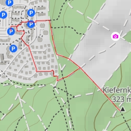 thumbnail for Kiefernkopf